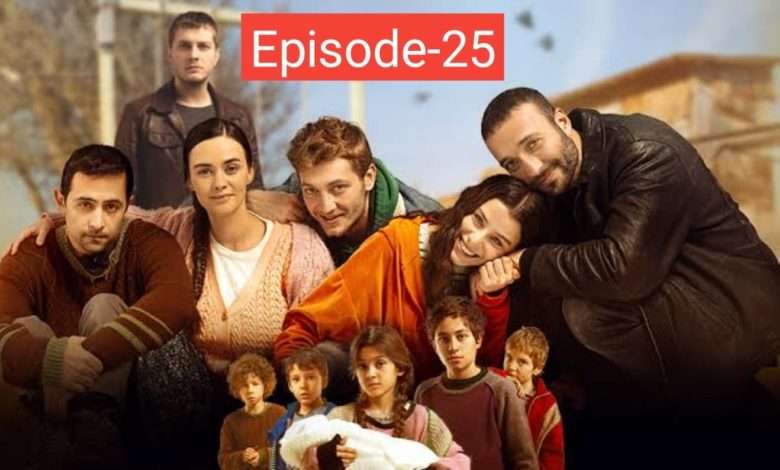 Ates Kuslari Episode 25 English Subtitles