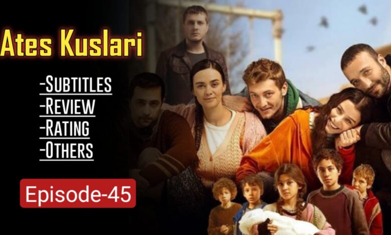 Ates Kuslari Season 2 Episode 45 English Subtitles